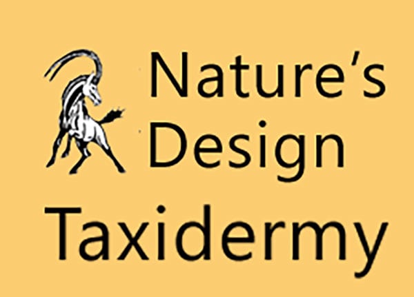 Nature-Taxidermy