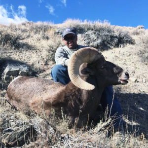 Bighorn Sheep Hunting Contest Winner