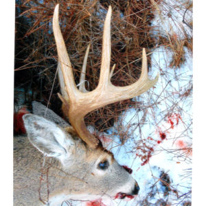 Washington Whitetail Deer Hunting Competition Winner 2018